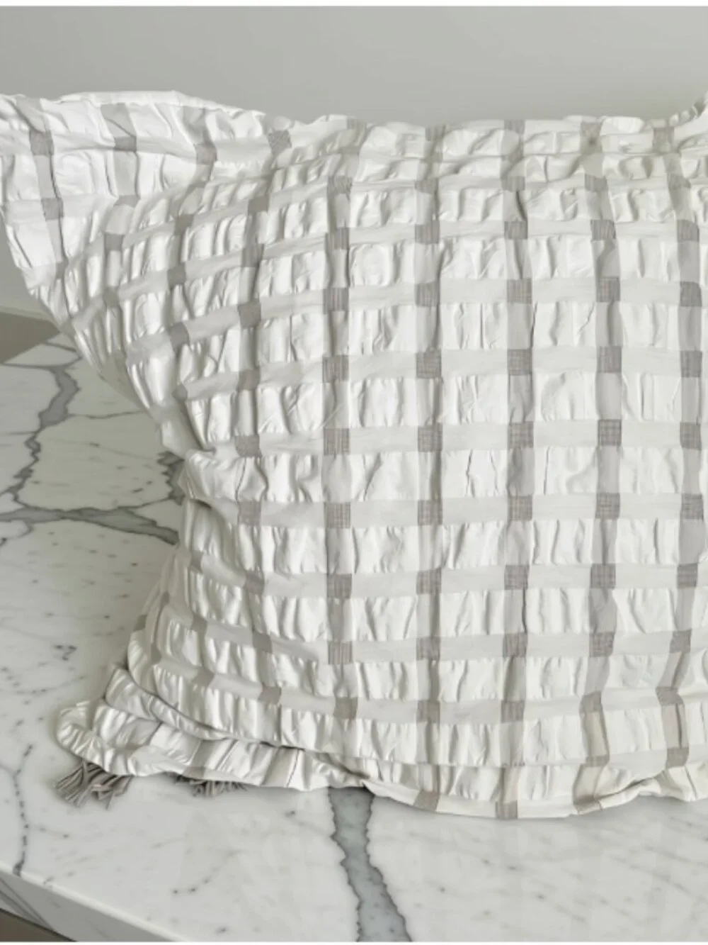 West Elm Duvet Cover & 3 Euro Shams Set